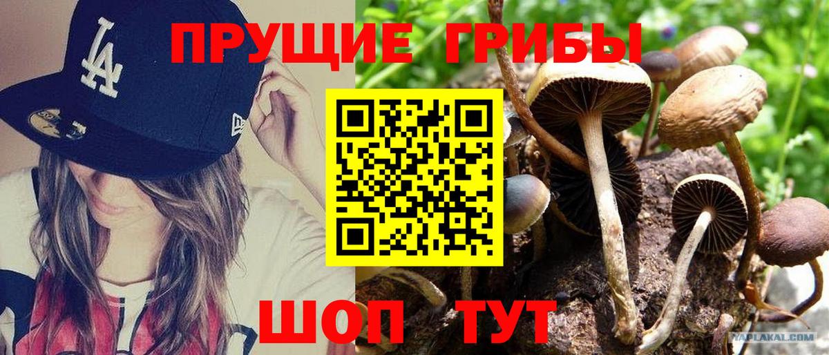 Галлюциногенные грибы Magic Shrooms Железногорск