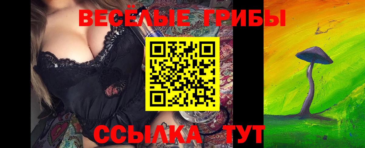 Галлюциногенные грибы мицелий  Вход с VPN  Железногорск 
